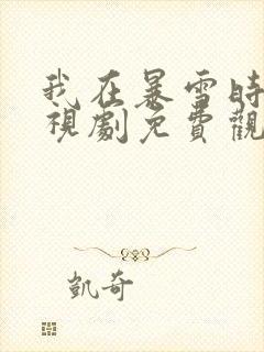 我在暴雪时分电视剧免费观看