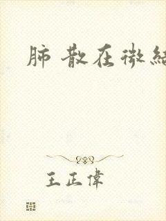 肺 散在微结节封面