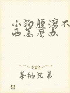 小狗腹泻不吃东西怎么办