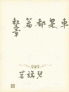 整篇都是车的文章