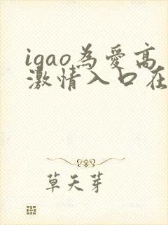 igao为爱高激情入口在线