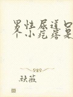 男性尿道口长一个小疙瘩是怎么回事