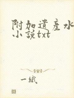 附加遗产水千丞小说txt