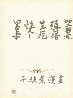 男性生殖器根部长个疙瘩是怎么回事封面