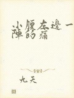 小腹左边一阵一阵的痛