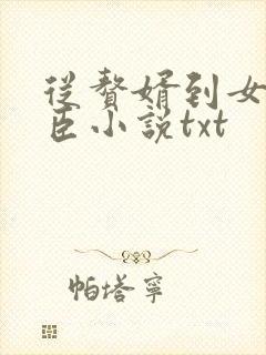 从赘婿到女帝宠臣小说txt