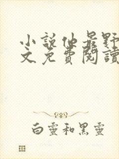 小说他最野了全文免费阅读