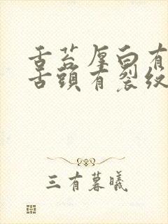 舌苔厚白有齿痕舌头有裂纹