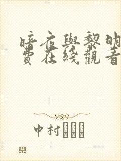 暗夜与黎明 免费在线观看