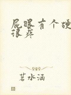 屁眼有个硬疙瘩很疼