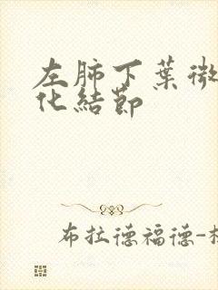 左肺下叶微小钙化结节封面