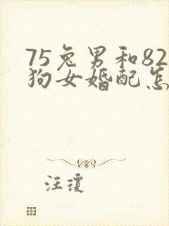 75兔男和82狗女婚配怎么样
