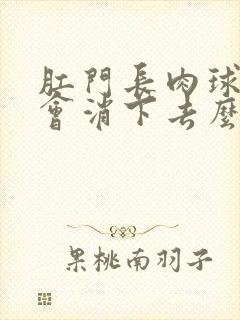 肛门长肉球自己会消下去么封面