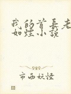 我的首长老婆柳如烟小说