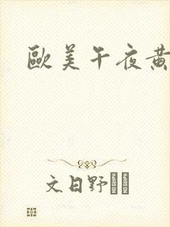 欧美午夜黄色网