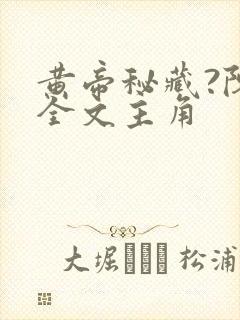 黄帝秘藏?陈启全文主角封面