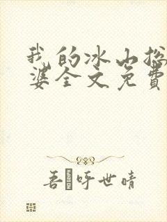 我的冰山总裁老婆全文免费封面
