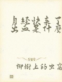 月经快来了同房出血是什么原因