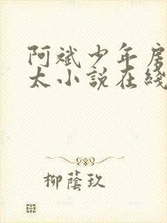 阿斌少年房东太太小说在线阅读