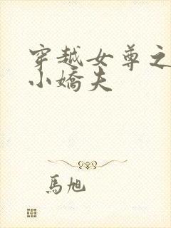 穿越女尊之独宠小娇夫