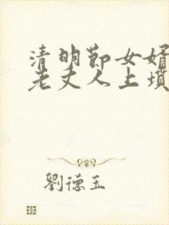 清明节女婿能给老丈人上坟吗