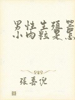 男性生殖器长满小肉粒是怎么回事