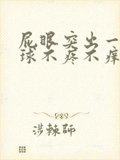 屁眼突出一个肉球不疼不痒