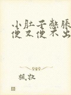 小肚子憋胀想大便又便不出什么原因封面