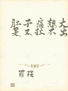 肚子痛想大便但是又拉不出来是什么原因