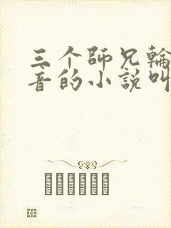 三个师兄轮流上音的小说叫什么