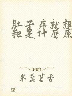 肚子疼就想拉粑粑是什么原因