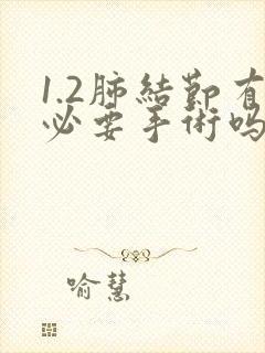 1.2肺结节有必要手术吗