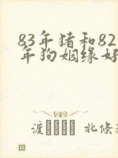 83年猪和82年狗姻缘好不好封面
