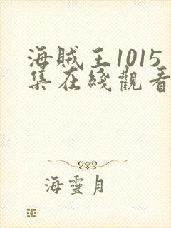 海贼王1015集在线观看免费完整观看
