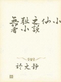 无耻之仙小说原著小说