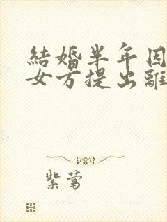 结婚半年因家暴女方提出离婚需退还彩礼吗封面