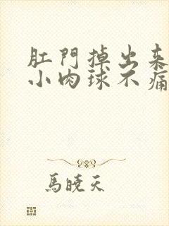 肛门掉出来一个小肉球不痛不痒