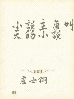 小说主角叫叶凌天的小说