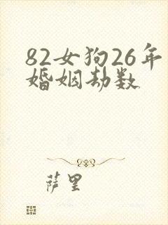 82女狗26年婚姻劫数封面