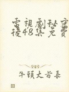 电视剧秘密的背后48集免费观看