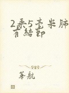 2乘5毫米肺部有结节封面