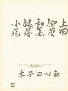 小腿和脚上起红疙瘩怎么回事