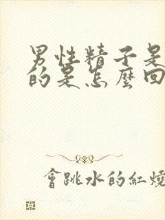 男性精子是黄色的是怎么回事封面