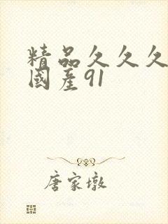 精品久久久久久国产91封面