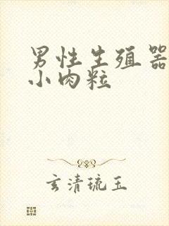 男性生殖器长出小肉粒