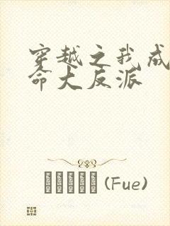 穿越之我成了天命大反派