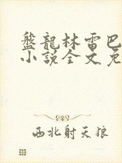 盘龙林雷巴鲁克小说全文免费