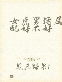 女虎男猪属相婚配好不好