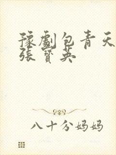 豫剧包青天全场张宝英封面