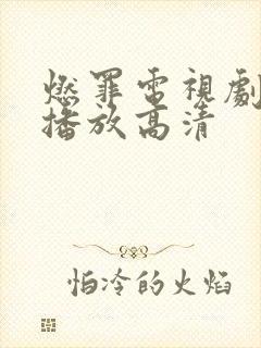 燃罪电视剧免费播放高清